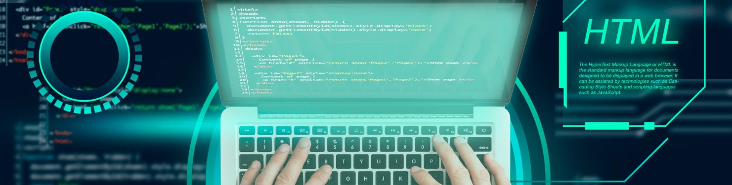 custom-sotware-development